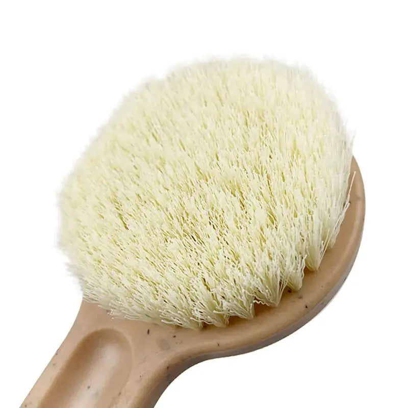 bristles on round head of bath brush